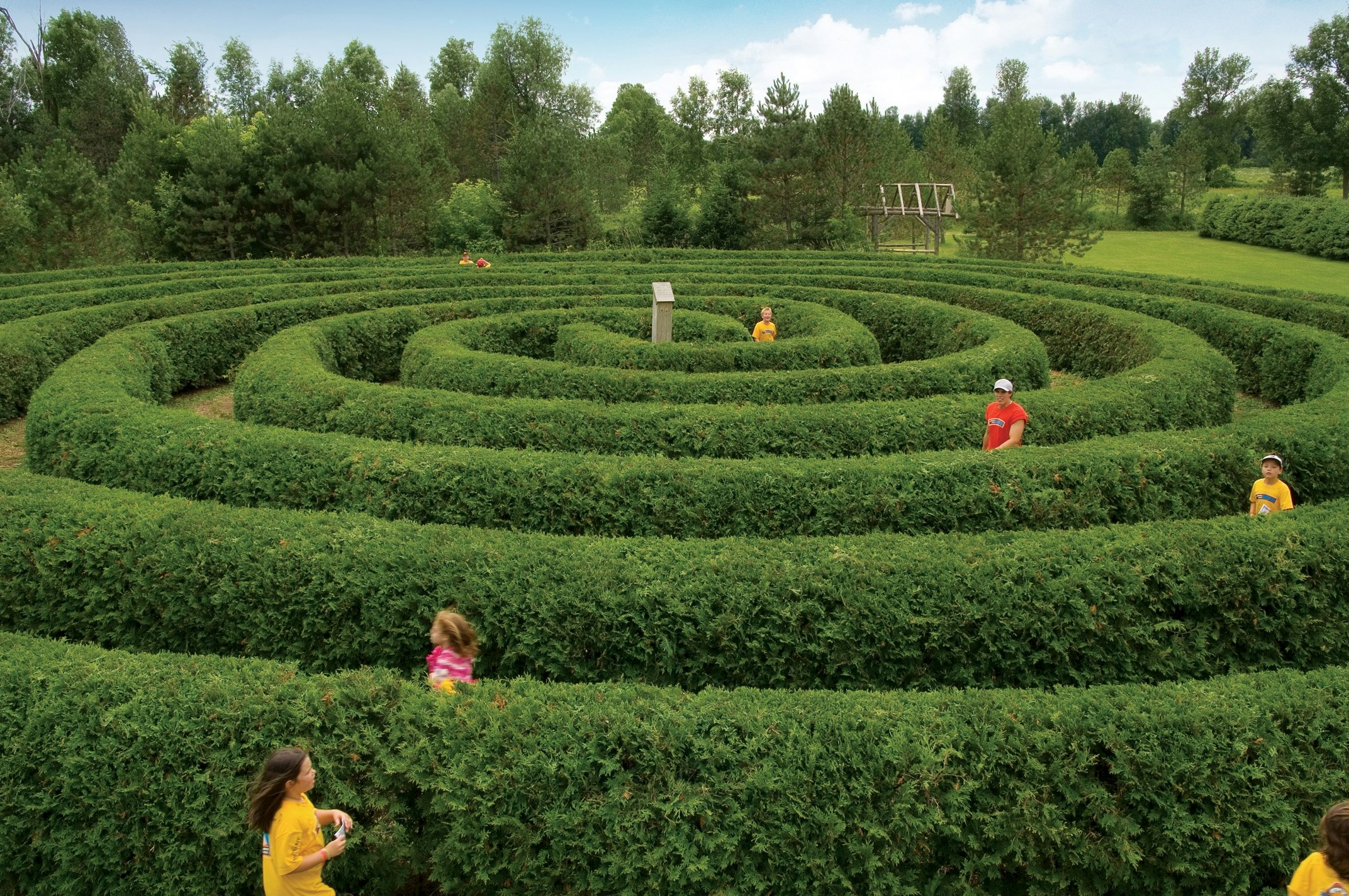 Features - Saunders Farm maze