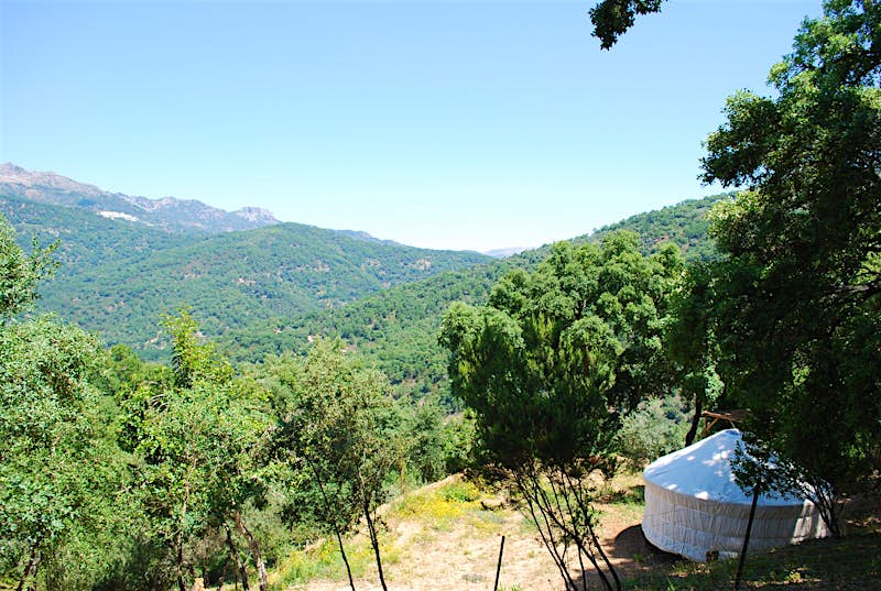 A white glamping tent looking out over pristine, green rolling hills with nothing else in sight