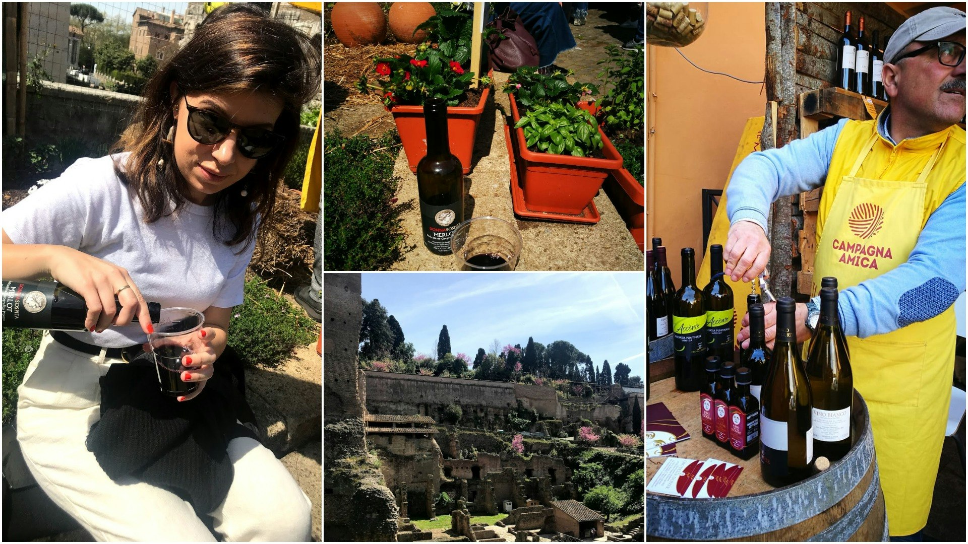 Rome budget - A collaged image of a woman pouring wine,Roman ruins, and a man opening a bottle of wine sitting on a wine barrel