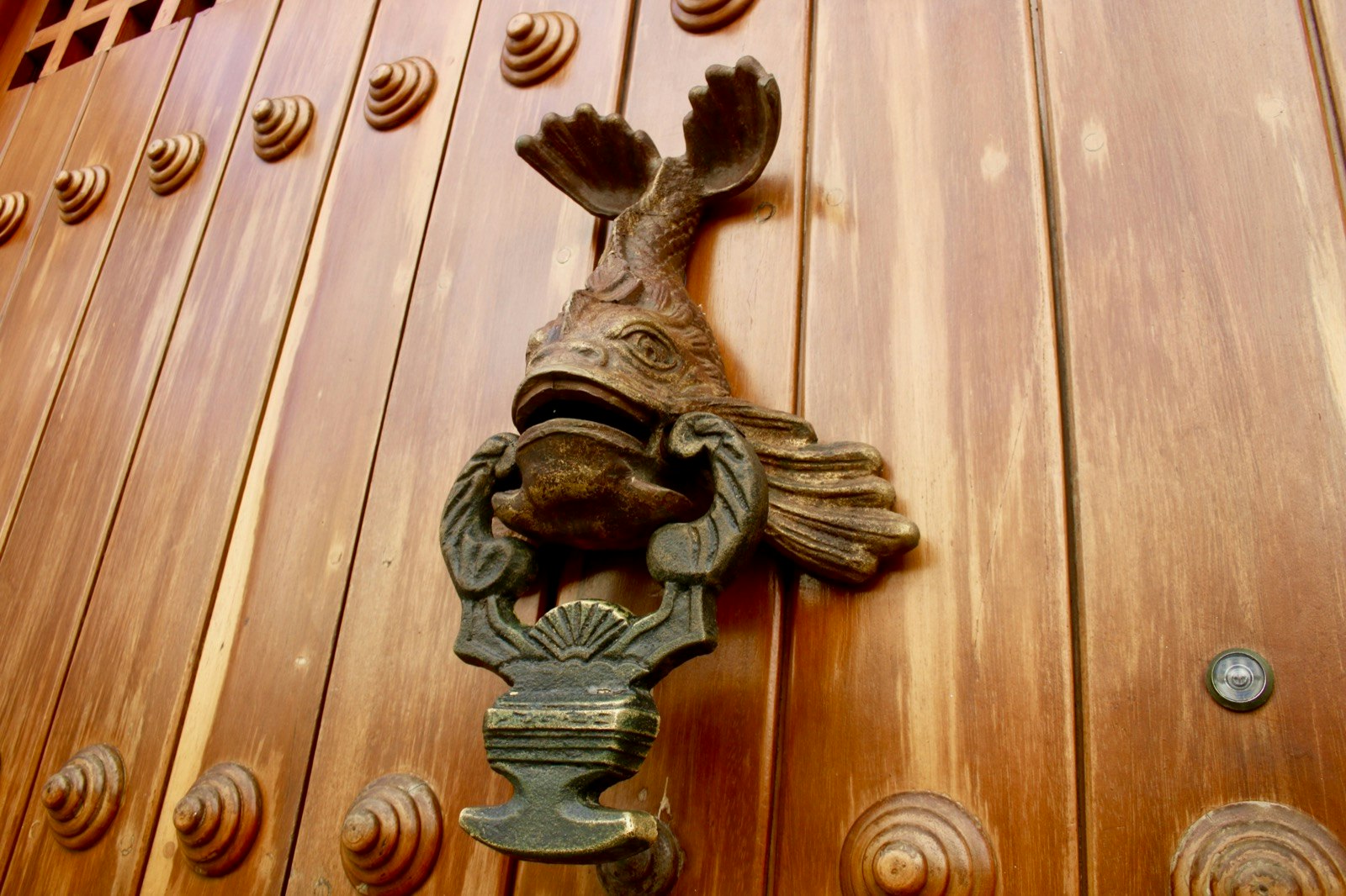 Close up of a door knocker shaped like a fish, suspended on a wooden door; free things to do Cartagena