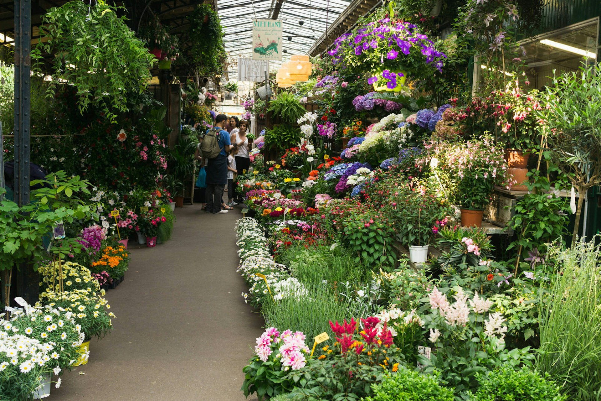The stalls in this covered market are lined with flowers and greenery