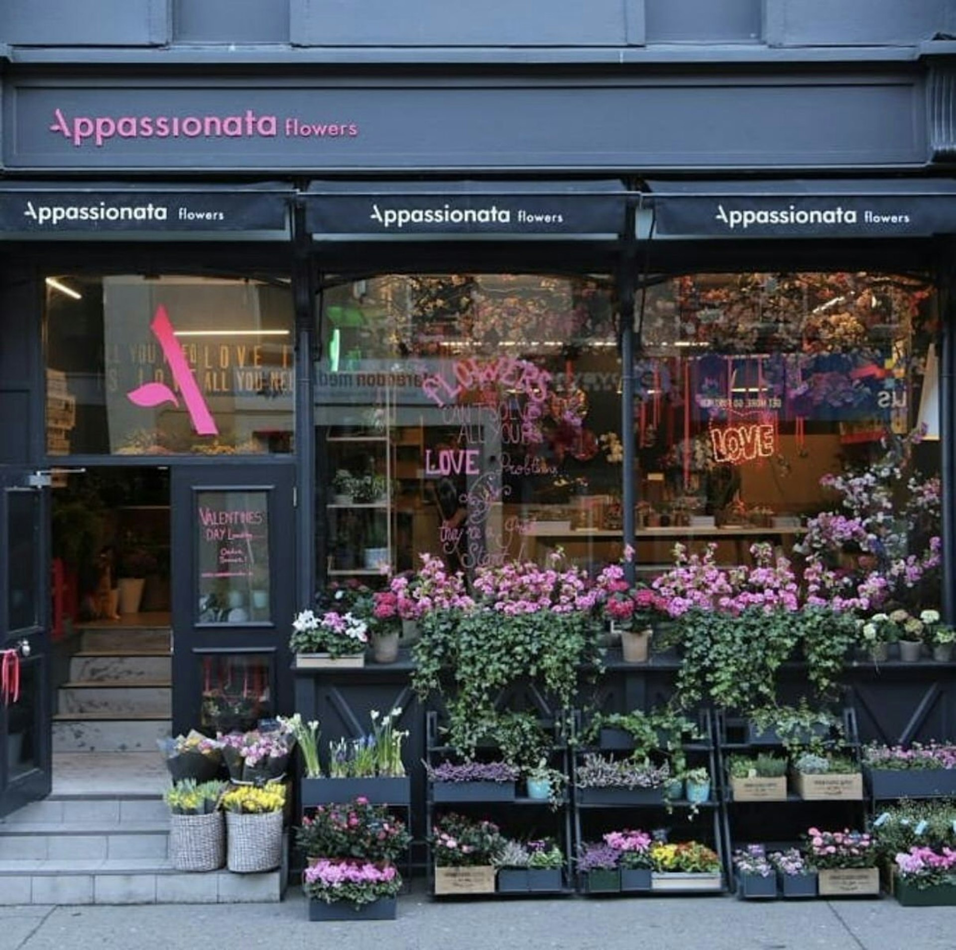 Appassionata Flowers shop front. There are rows of coloured flowers stacked in front of the big windows and black shop front