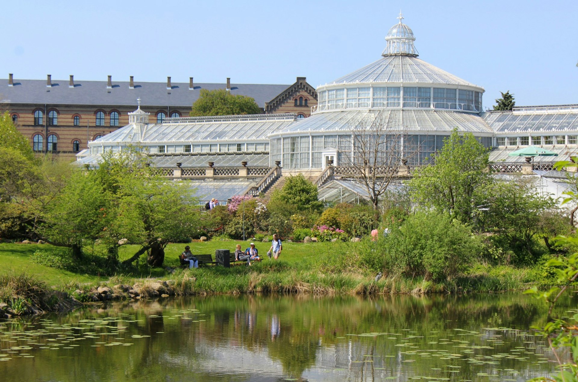A group of people sit on a park bench in front of a small lake surrounded by trees and high grass in the Copenhagen Botanical Garden. In the background is a large glass green house