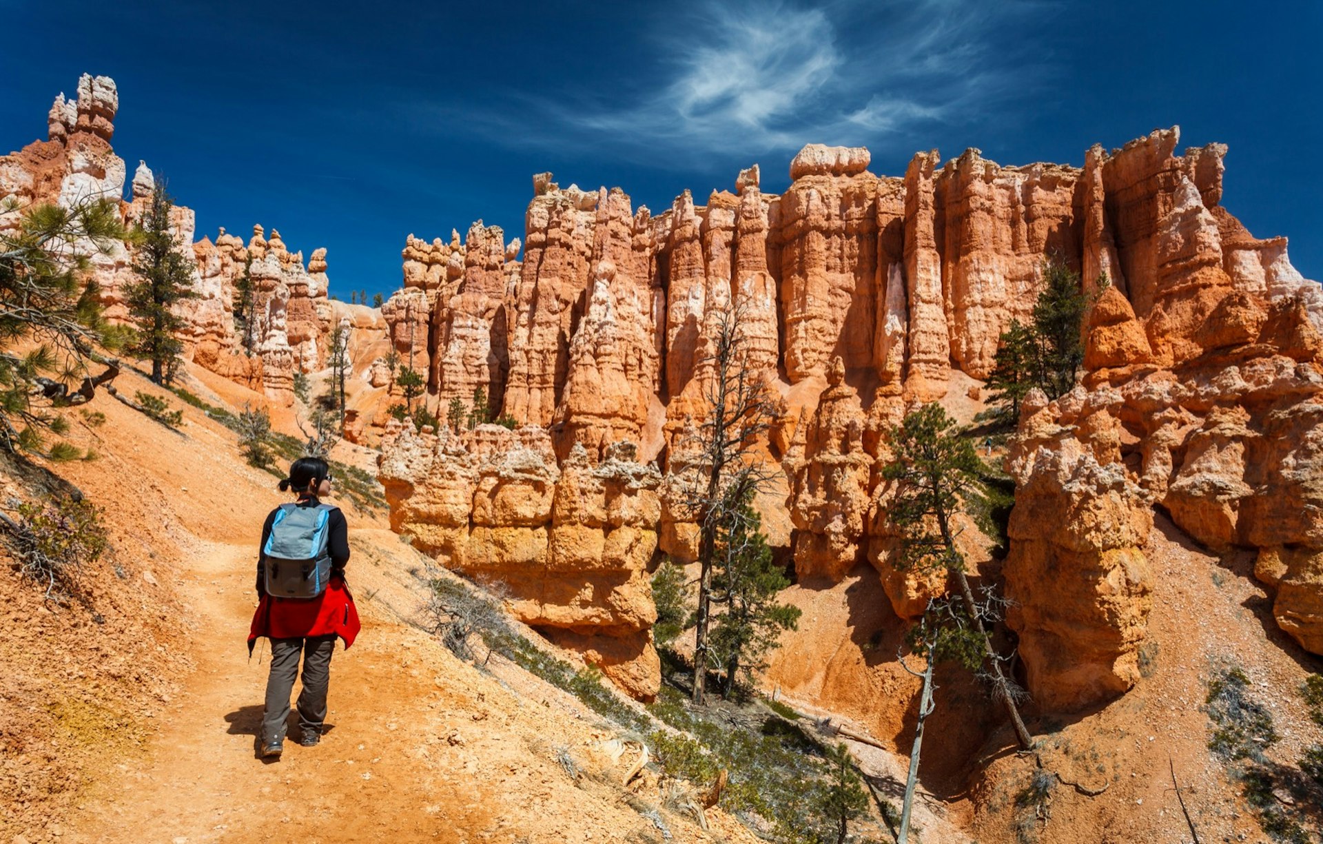 A person hikes the Queen's Garden Trail in Bryce Canyon National Park, Utah. Hoodoos stand out to the right