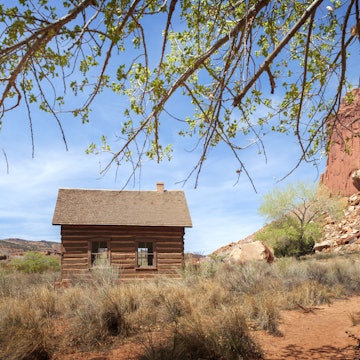 A tiny wooden cabin in the red landscape of Utah with branches overhanging in the foreground.