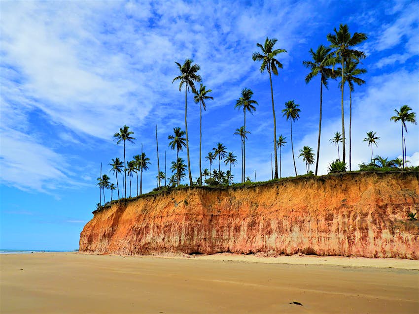 An image taken on a sandy beach looking back at a rocky, terra-cotta-colored coastline topped with tall palm trees. Cumuruxatiba, Bahia, Brazil.