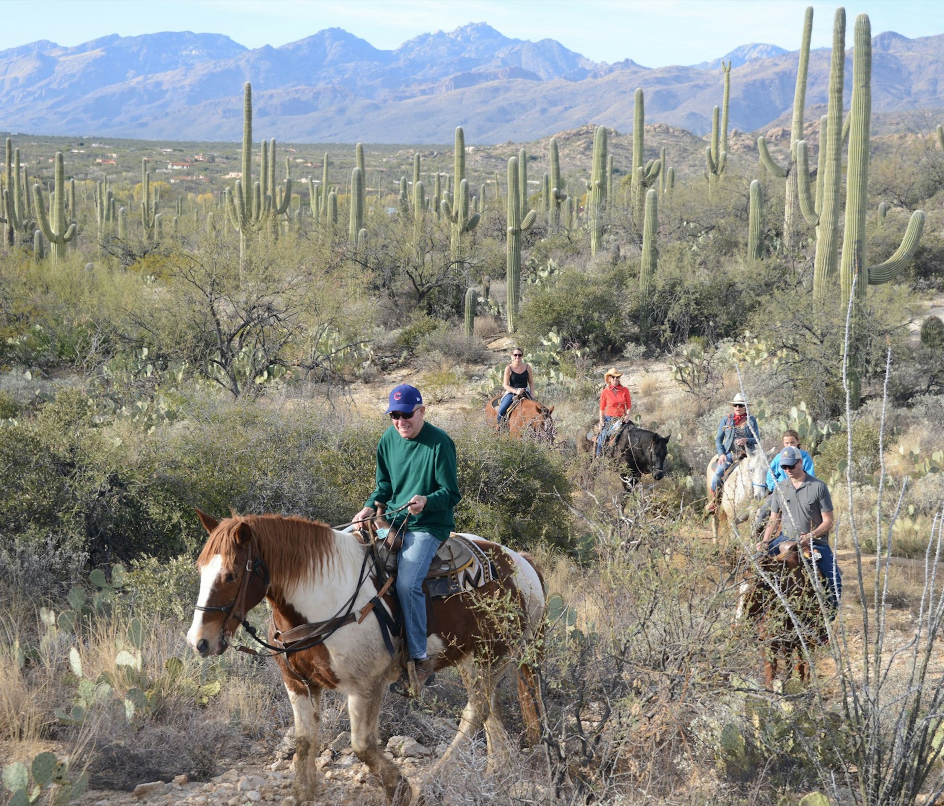 A man in a Chicago Cubs cap leads a line of dude ranch visitors on horses through scrubland and cactuses
