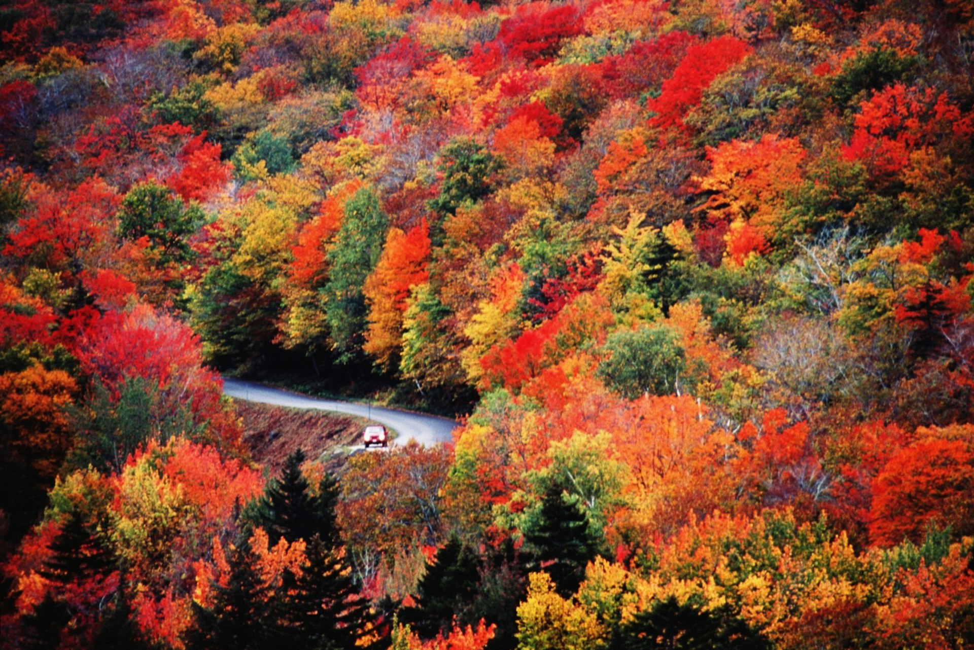A car drives on a windy road that you can barely see because of the dense orange, red, yellow and green foliage while listening to audiobooks for a US road trip through small-town America. 