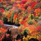 A car drives on a windy road that you can barely see because of the dense orange, red, yellow and green foliage while listening to an audiobook on a US roadtrip