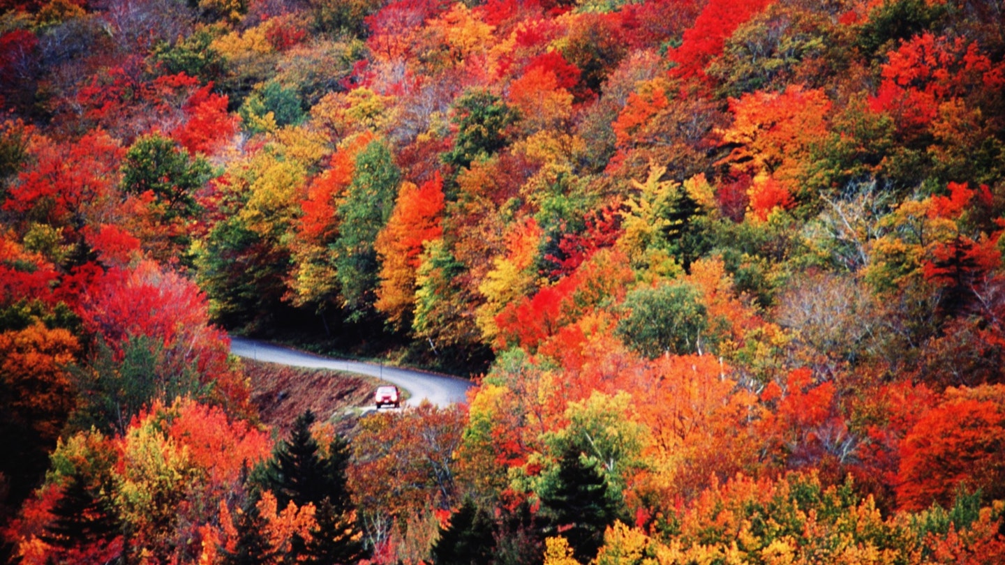 A car drives on a windy road that you can barely see because of the dense orange, red, yellow and green foliage while listening to an audiobook on a US roadtrip
