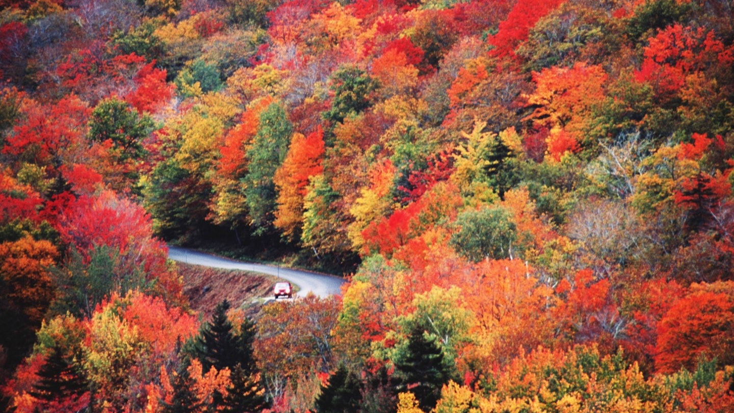 A car drives on a windy road that you can barely see because of the dense orange, red, yellow and green foliage while listening to an audiobook on a US roadtrip