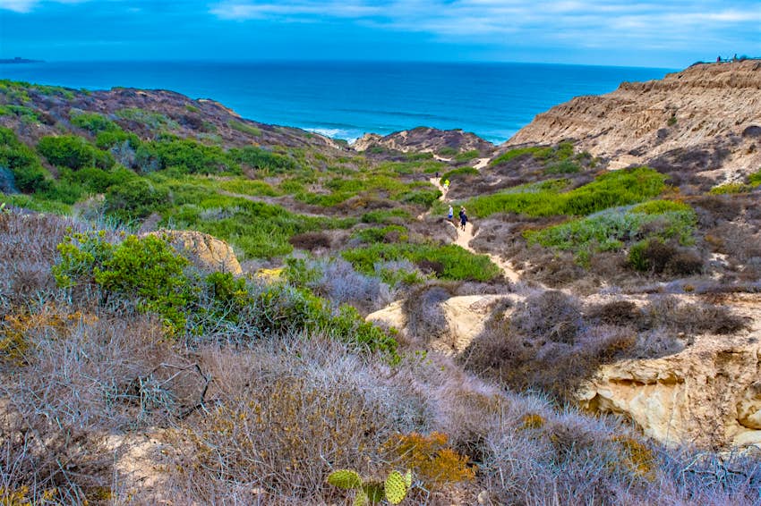 People hike down a sandy path to the beach surrounded by low chaparral, cacti and sand on a perfect weekend in San Diego