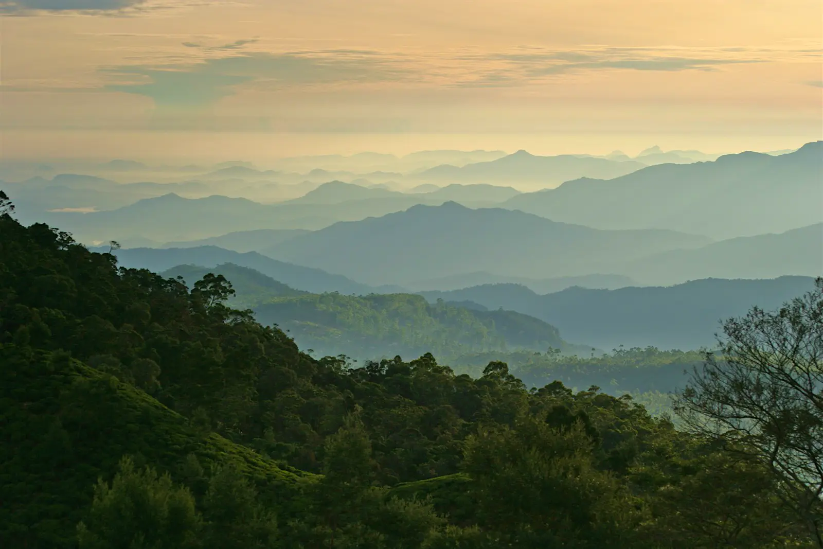 Dawn highlights the mist that settles over rolling green hills