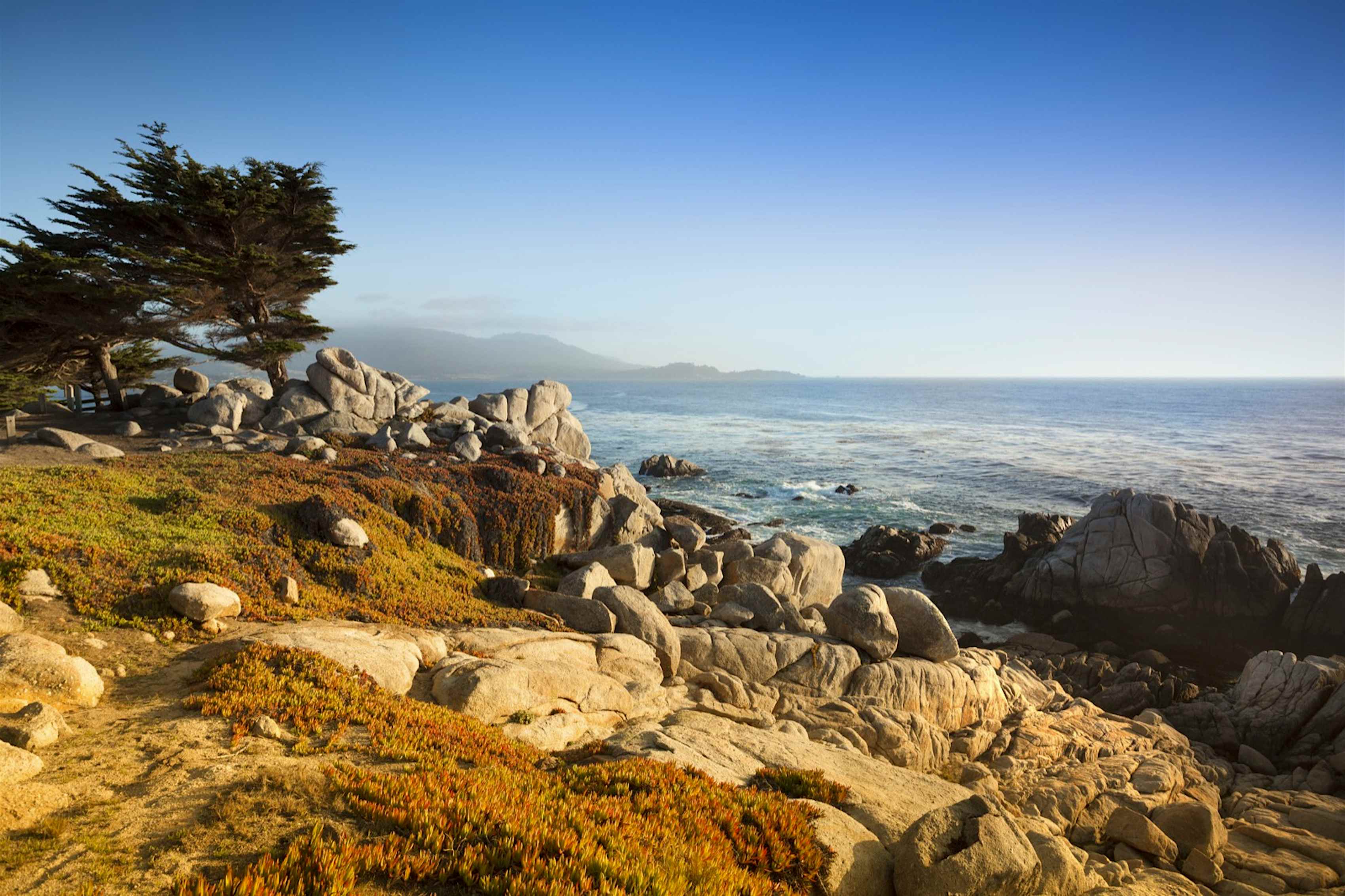 How to experience the best of Monterey, California Lonely