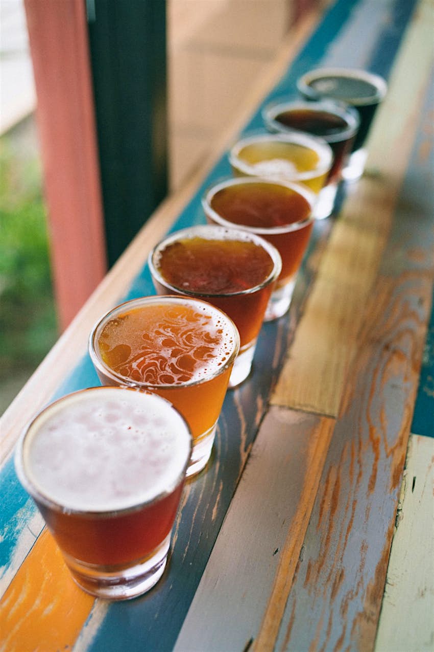 A row of small glasses filled with amber colored beer sitting atop a rough wood railing at one of California's best summer food and drink festivals