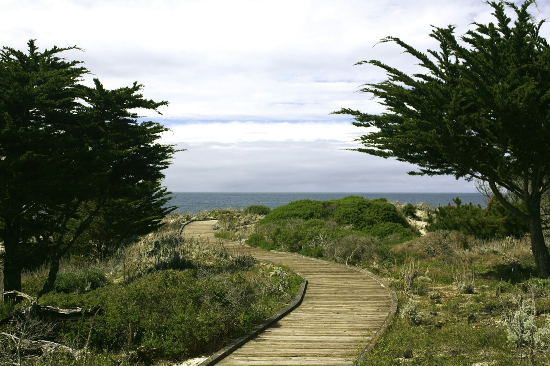 a boardwalk between two California cypress trees deadends into the beach a perfect spot for a run like Jane in Big Little Lies filmed in Monterey