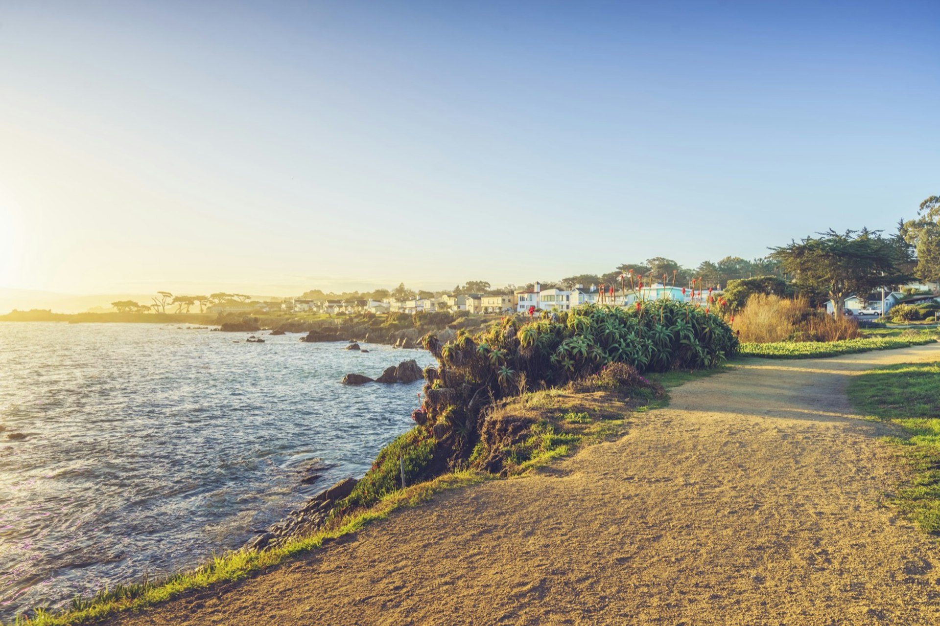 a sandy path leads past a rocky shoreline lined with wild fauna with stately homes in the background in Monterey, California