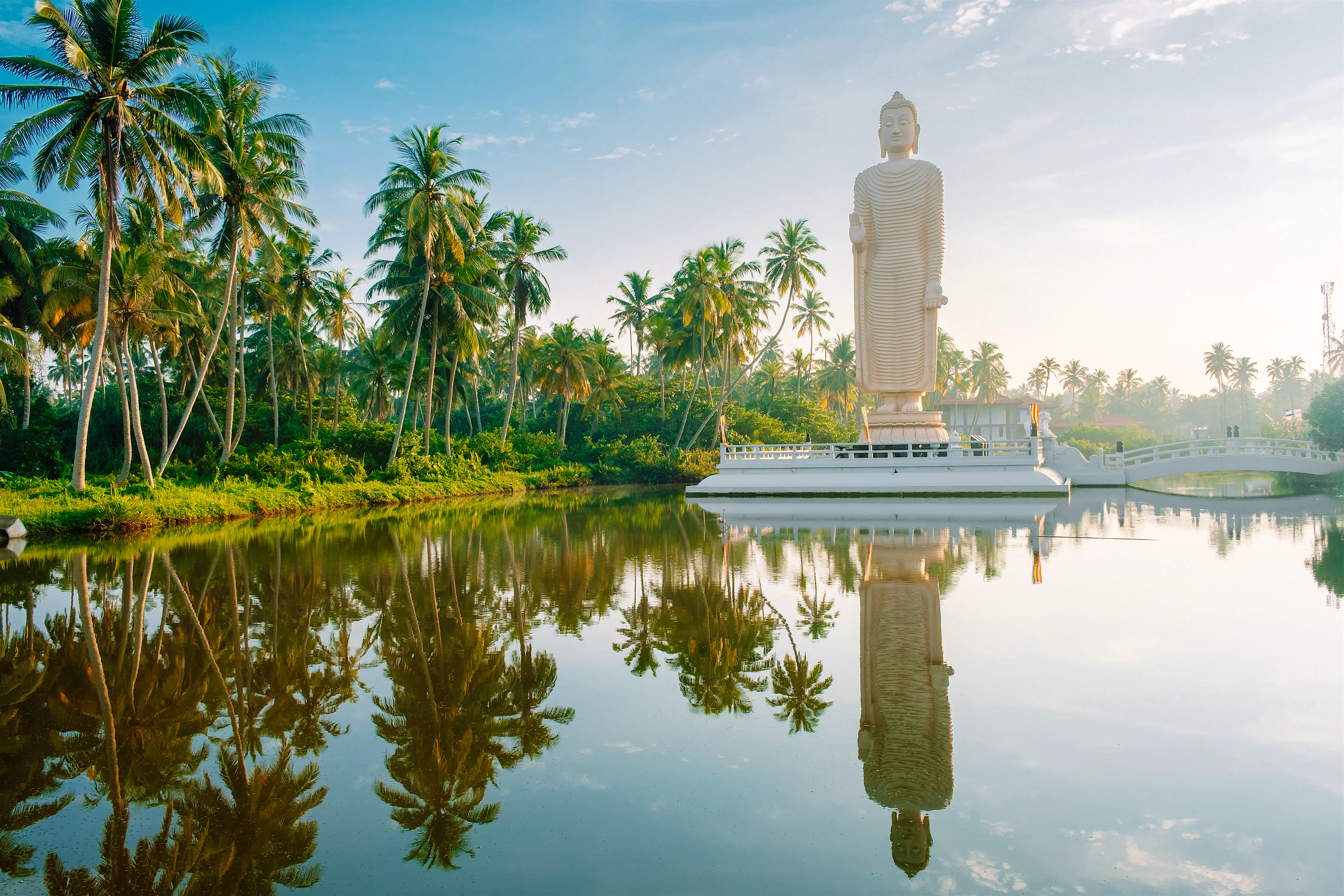 The Tusnami statue a tall white buddha on a white platform is perfectly reflected in the pool below and surrounded by palm trees in Sri Lanka