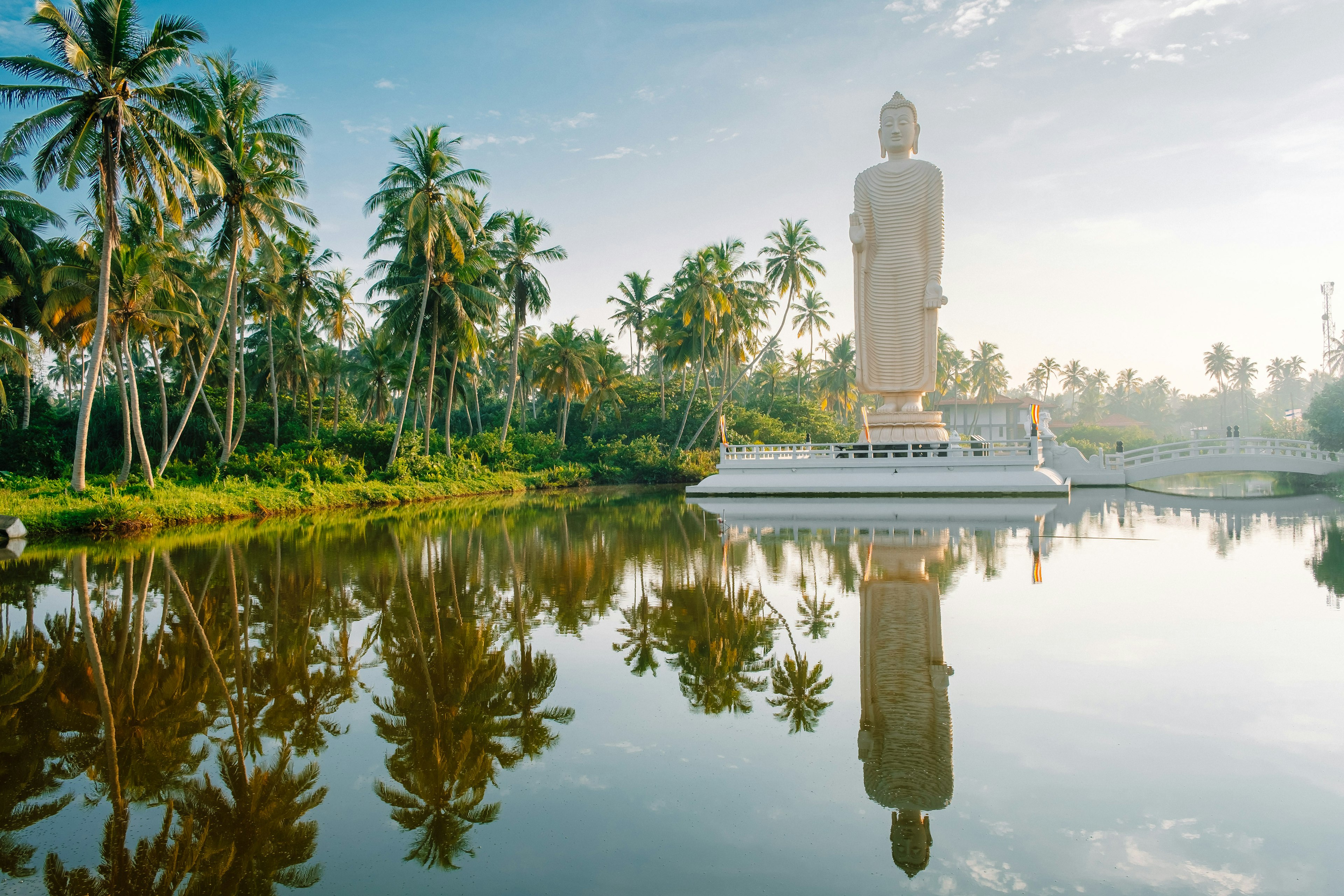 The Tusnami statue a tall white buddha on a white platform is perfectly reflected in the pool below and surrounded by palm trees in Sri Lanka