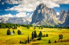 Features - Alpine landscape