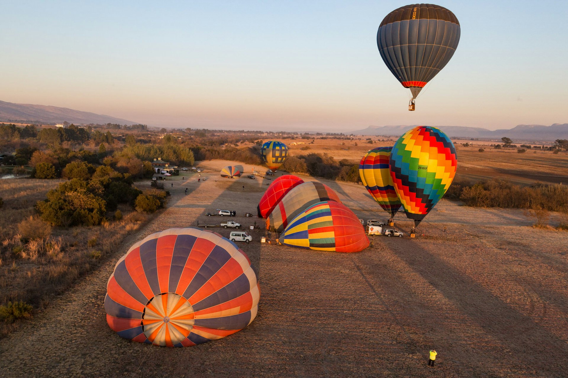 One colourful balloon moves skyward as eight others are in various stages of inflation on the ground; the light is soft and golden due to sunrise