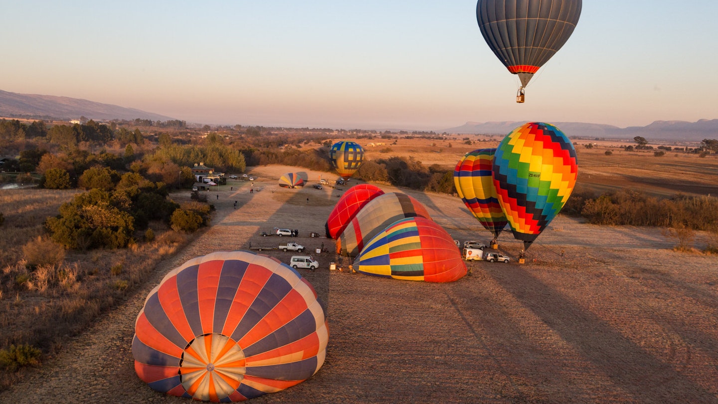 One colourful baloon moves skyward as four others are in various stages of inflation on the ground; the light is soft and golden due to sunrise