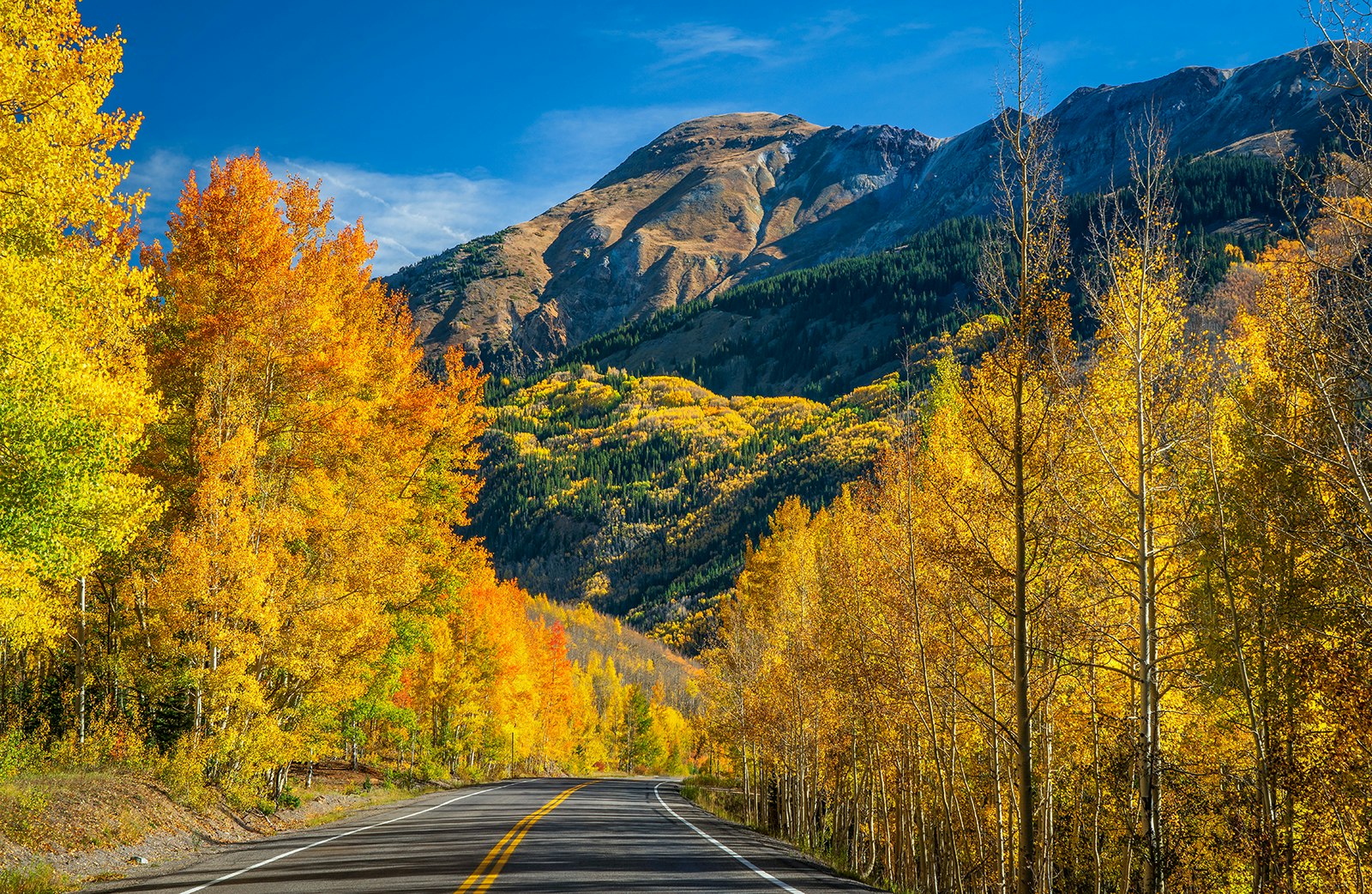 Western US road trip - A road extends into an autumnal tree line towards bluffs in the Rocky Mountains. Colorado, USA.