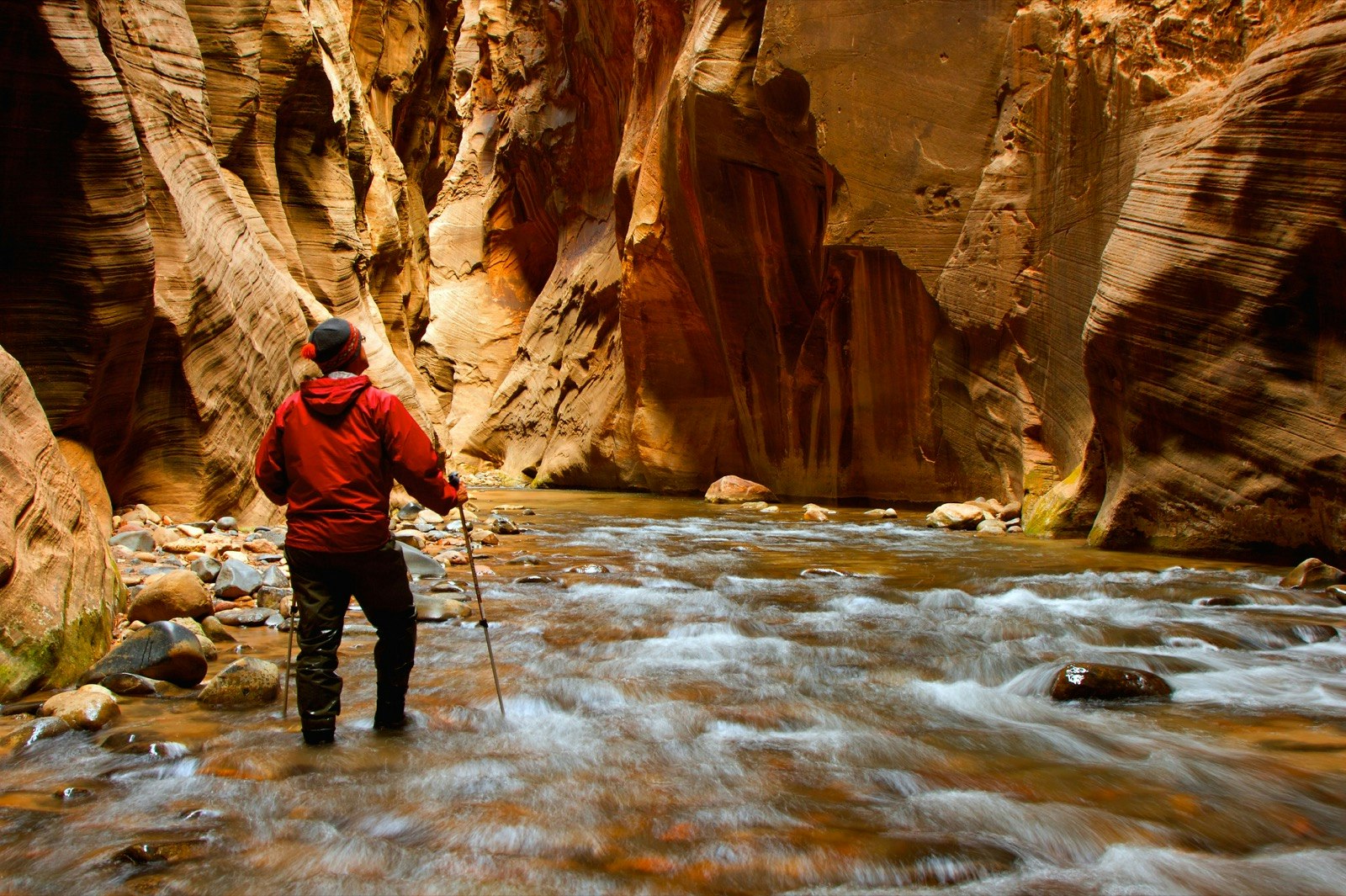 A man hikes through a river into the narrows in Zion National Park, Utah USA.