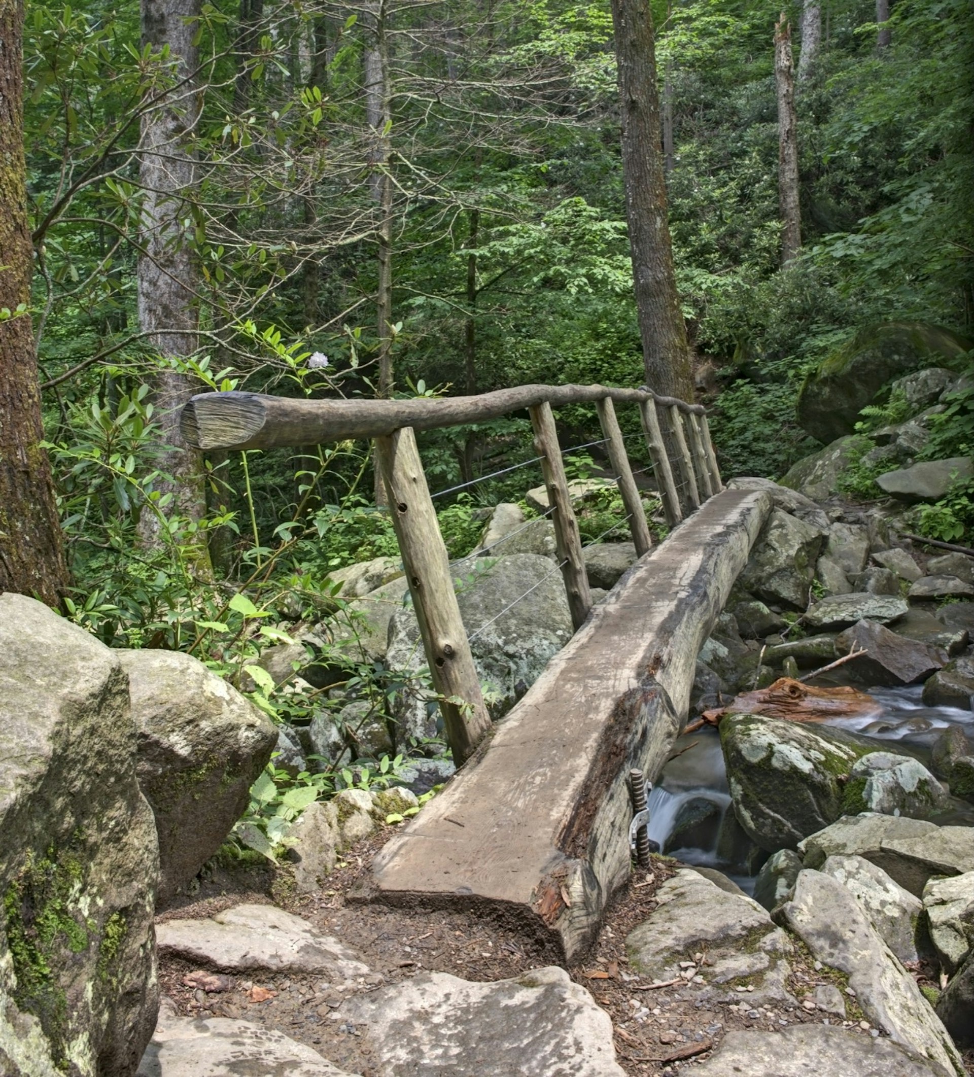 A log footbridge crosses a stream in a green forest in the Great Smoky Mountains National Park in Tennessee