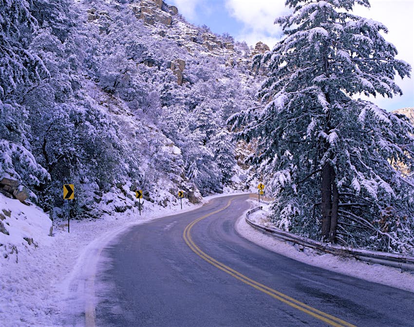 A road turns through a snowy mountain setting, with evergreen trees on the sides of the road, near Tucson