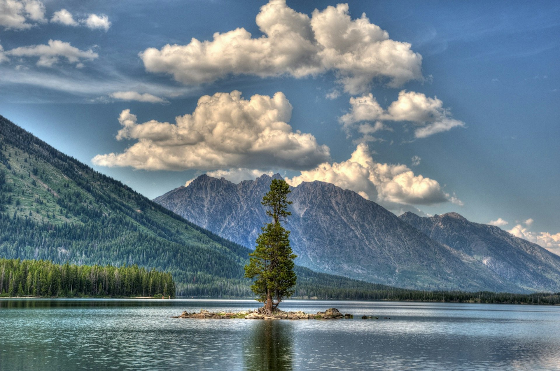 A lone tree on a small island on Leigh Lake at Grand Teton National Park Wyoming