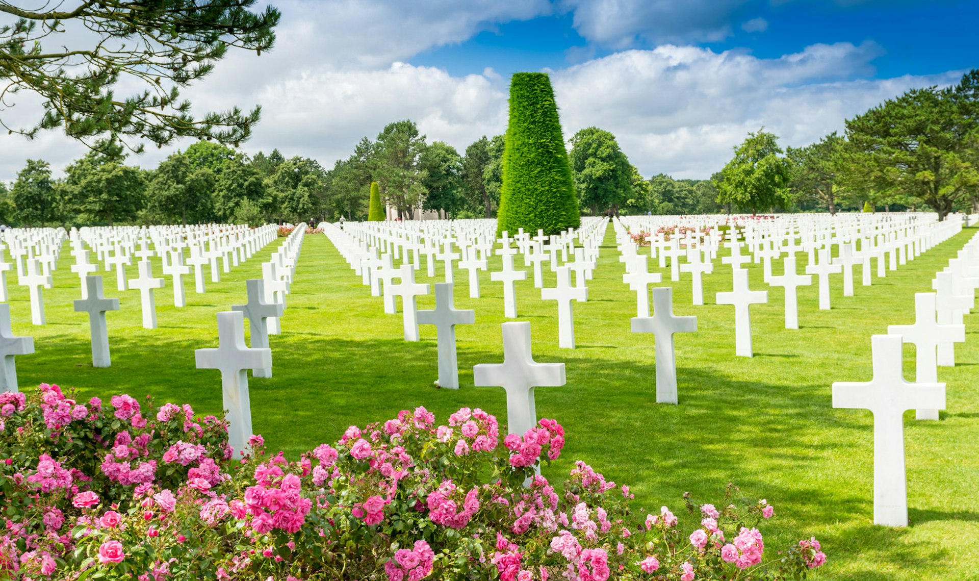 Trees and pink flowers next to a field of white crosses at the American cemetery in Colleville-sur-Mer
