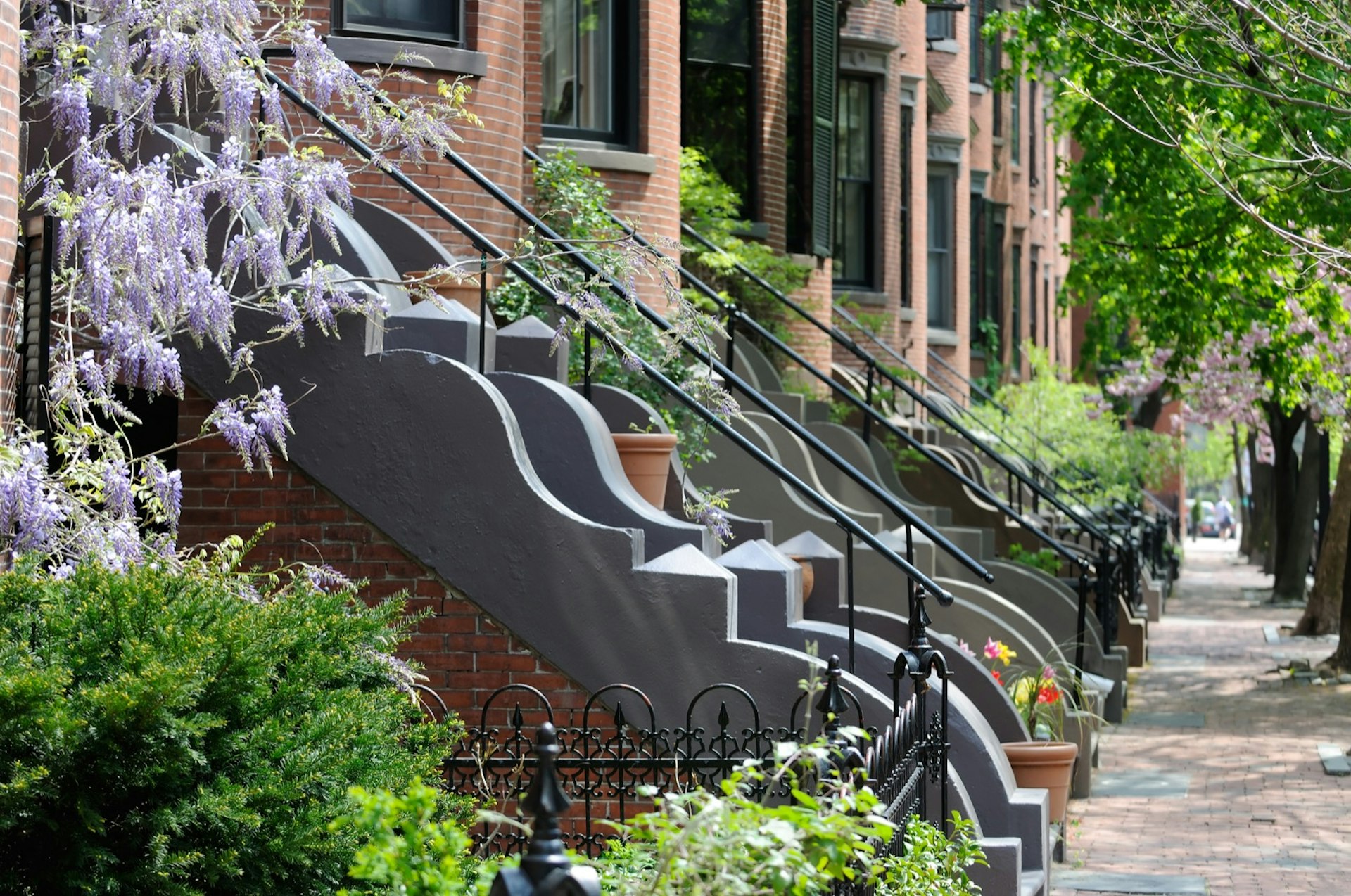 A row of classic Victorian-themed apartments with red brick walls and sidewalks, elegant stone steps and iron railings. There is a light purple plant next to stairs and a row of trees lining the sidewalks; Perfect weekend Boston.