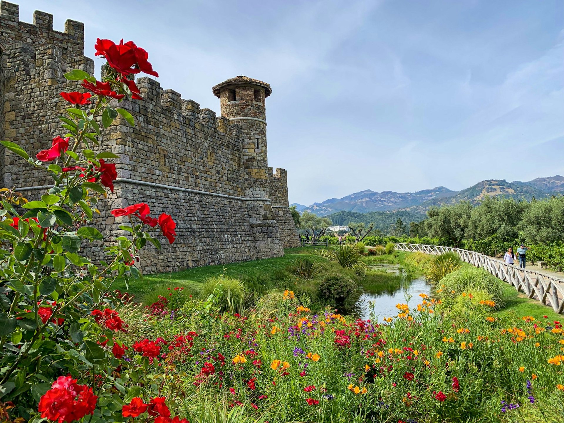 The walls of Castello di Amorosa next to a flower bush, with a blue sky overhead, perfect weather for a weekend in Napa