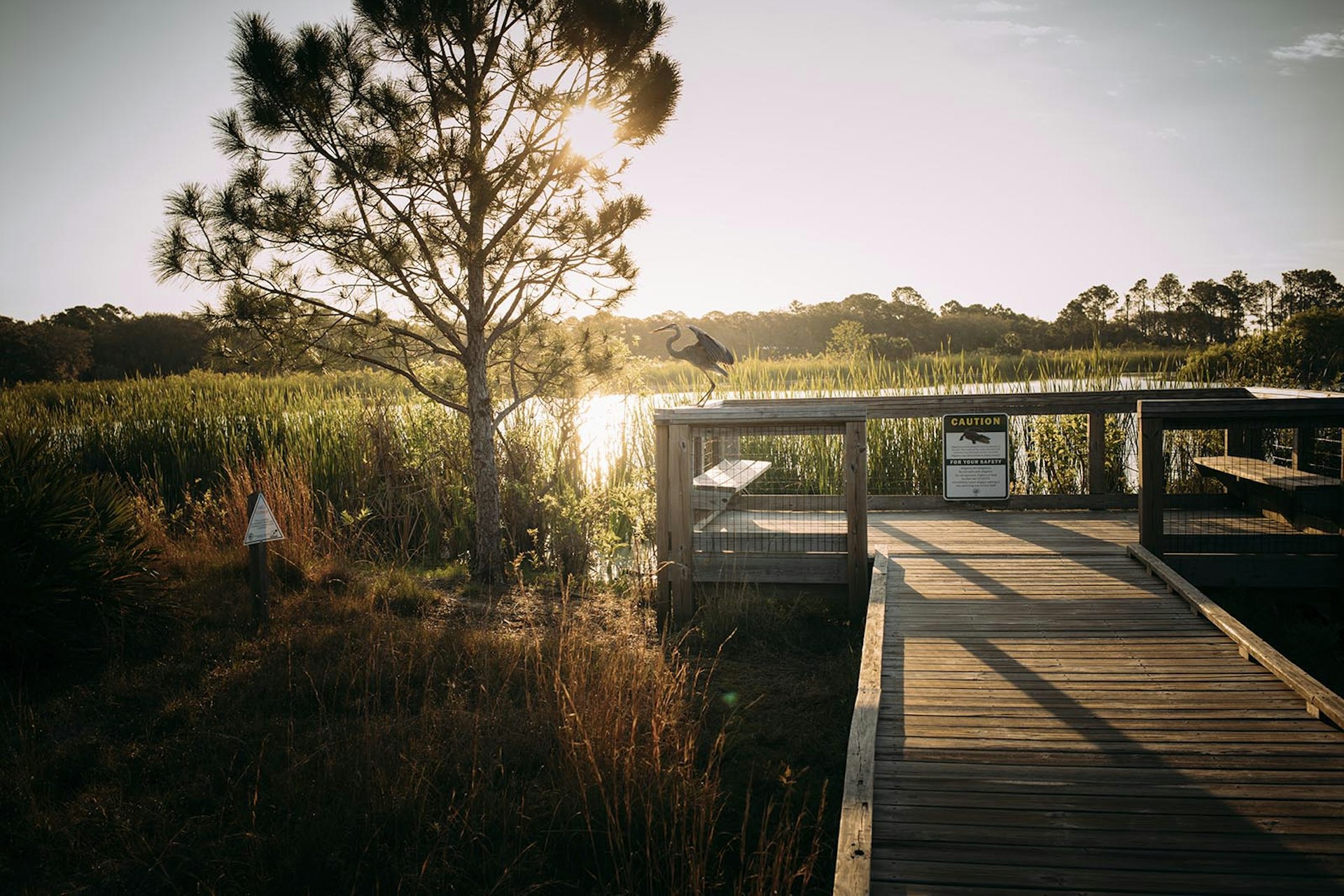 Sunset over wetlands in Conservation Park with egret perched on a wooden boardwalk.