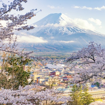Fujiyoshida Town and Sakura Branches with Fuji Mountain Background; Yamanashi Prefecture