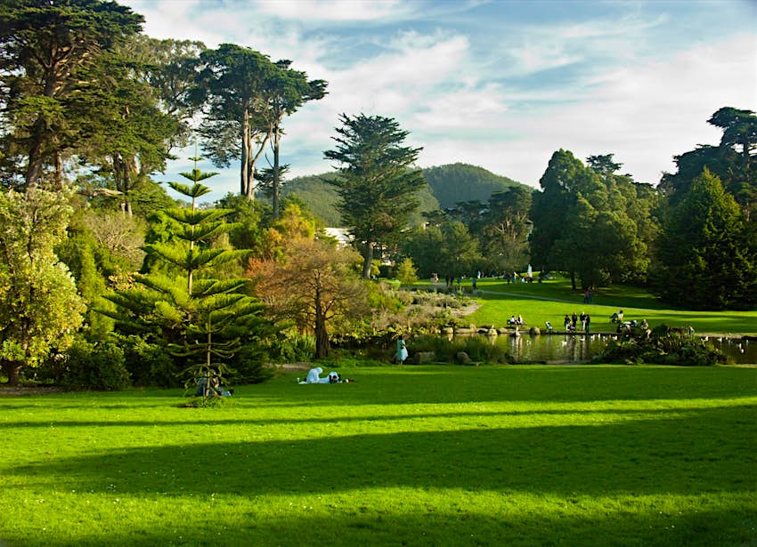 Green grass is lined with mature trees of different varieties with a pointed hill in the background. Weekend in San Francisco