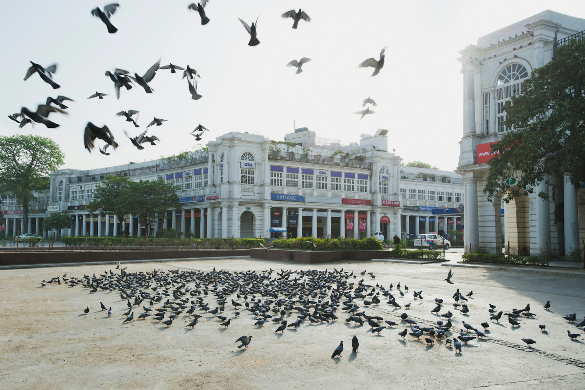 A flock of pigeons on a section of pavement in Delhi's Connaught Place. Some of the pigeons are flying while others remain on the ground. In the background, the white colonial storefronts of Connaught Place are visible. 