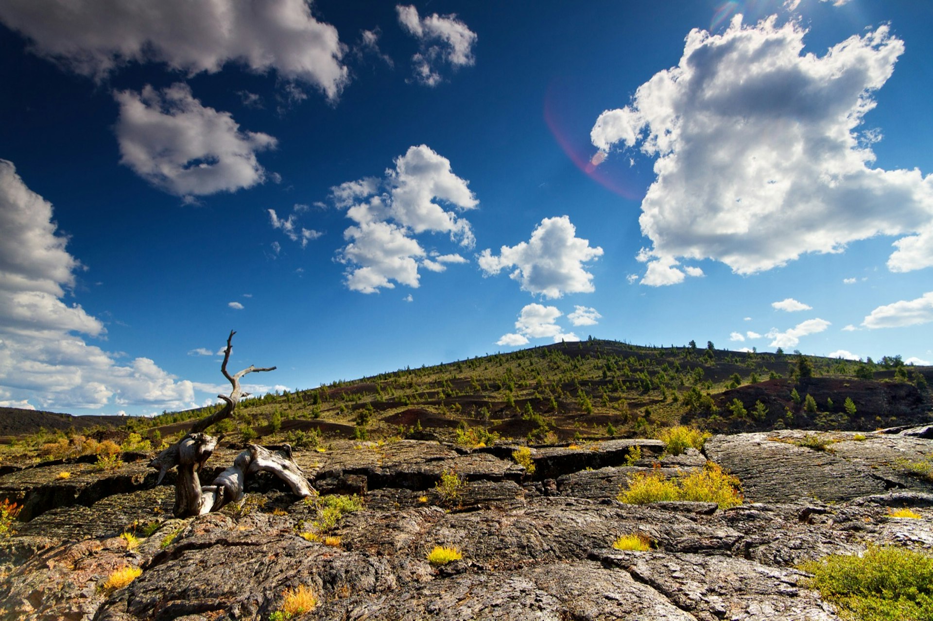 Lone dead tree in foreground and large stretches of lava rock with partially forested hill in background on partly cloudy summer afternoon at Craters of the Moon National Monument; Apollo anniversary experiences