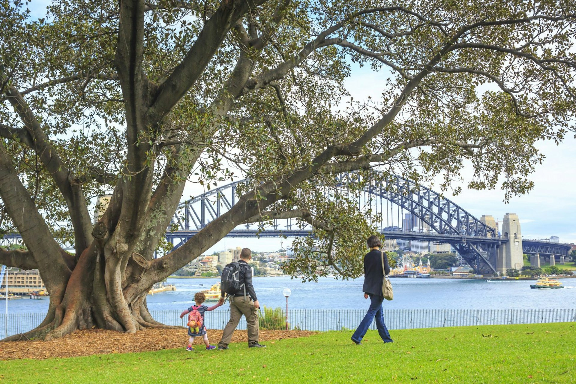 A small child with a backpack walks along holding the hands of an adult, with another adult ahead. The harbour and Harbour Bridge are in the background