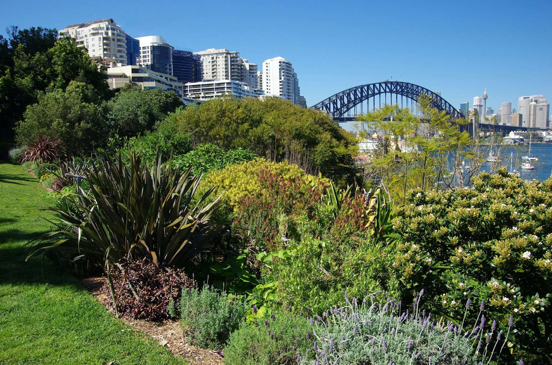 Greenery and bushes of the Secret Garden give way to a glimpse of the Harbour Bridge and some boats in the distance