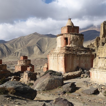 Features - Mustang-landscape-Sml-11ac799ad12c