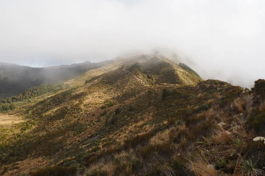 A dense cloud hovers over a low mountain range on the Paparoa track in New Zealand. 