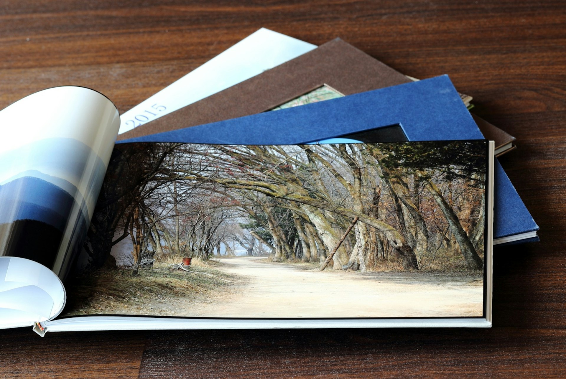 A stack of photo books and the top one is opened to a two-page spread of a live oak alley with a path running under the trees.