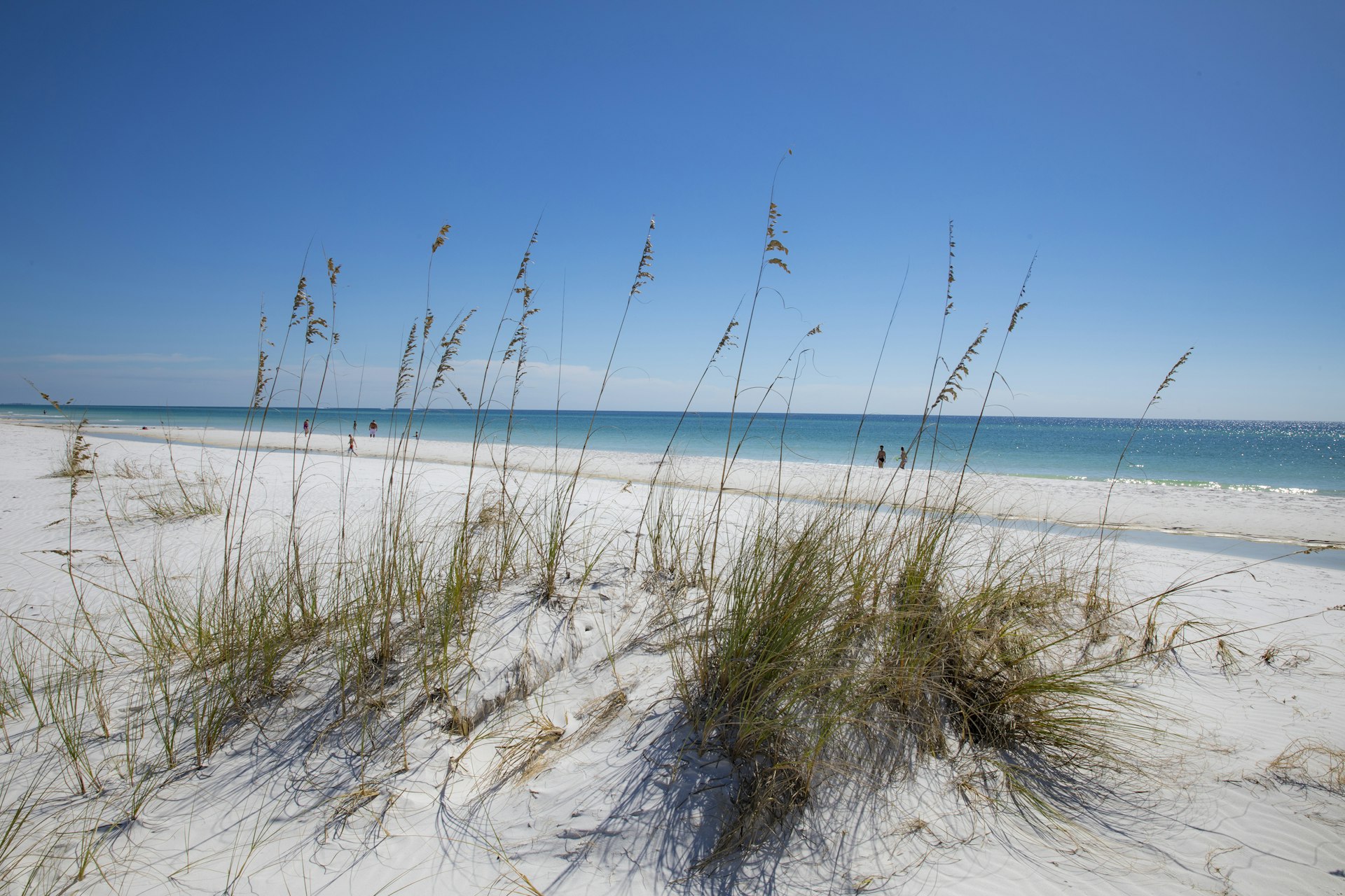 A white sand beach meets turquoise water on Shell Island in Panama City Beach.