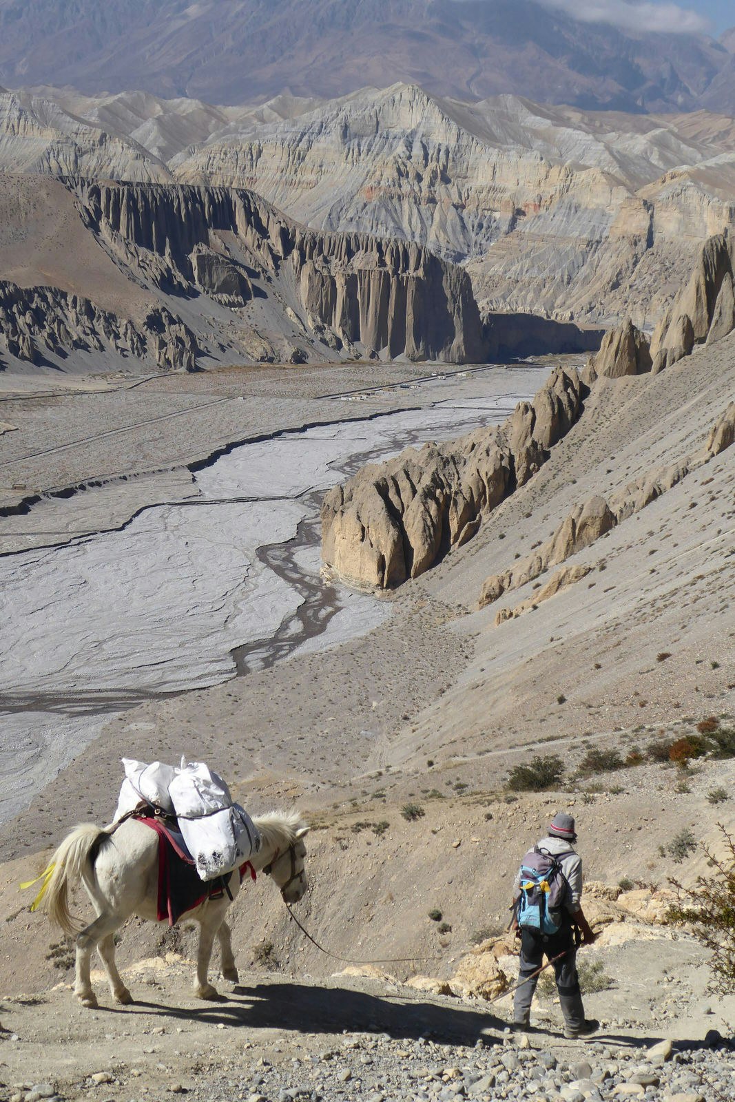 Trekker with a mule in an arid valley in Mustang