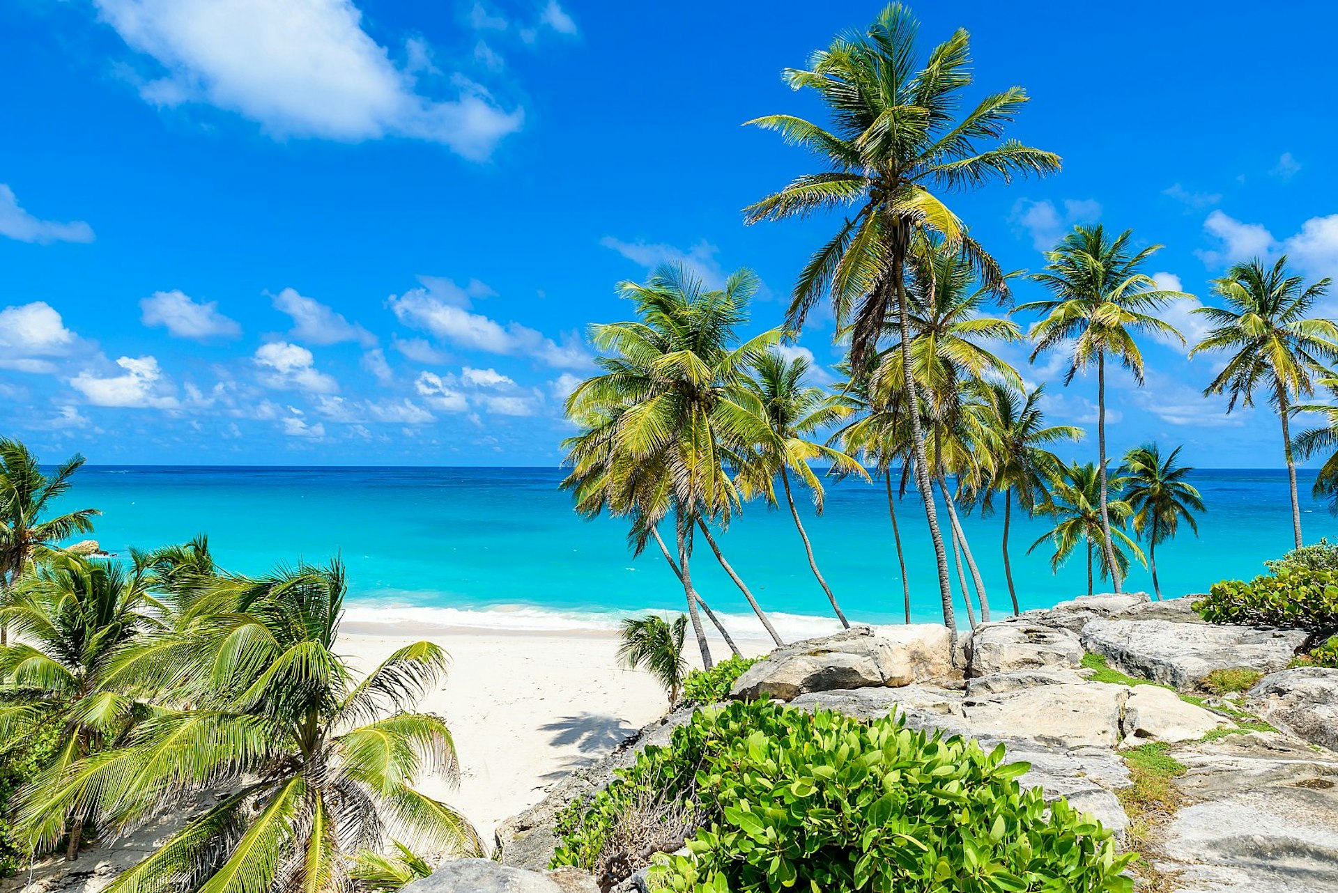 Bottom Bay in Barbados: we see a tropical coastline with a white-sand beach and palm trees hanging over turquoise sea.