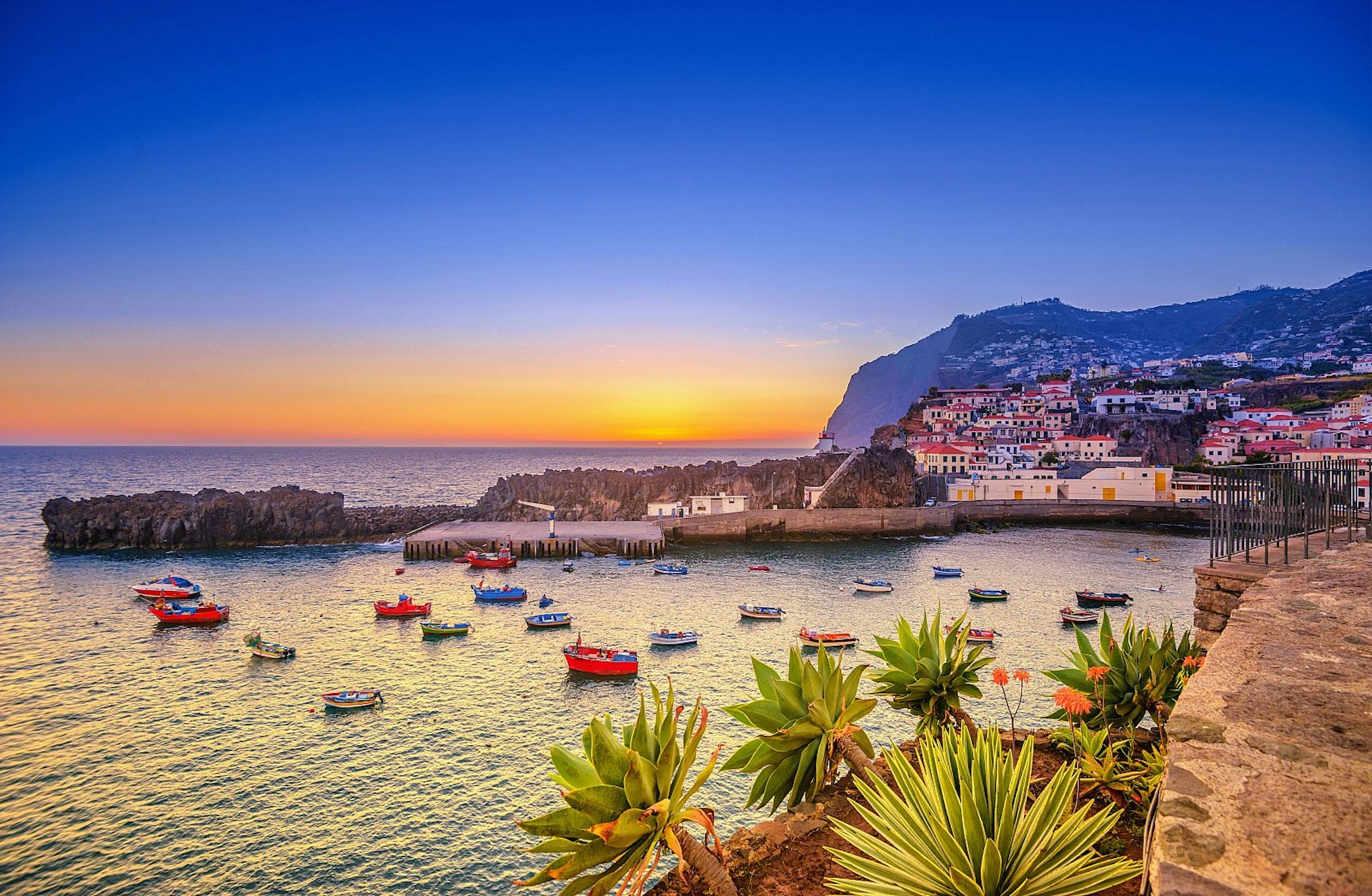 The fishing village of Câmara de Lobos at sunset; in the distance is the Cabo Girão, with some of the world's highest sea cliffs. There are small colourful fishing boats in the harbour and green succulents in the foreground. 