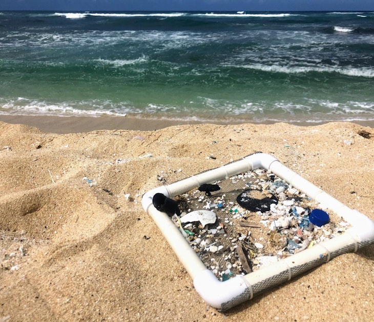 A square sifter sits on the sand by the ocean with lots of small pieces of plastic stuck in its net