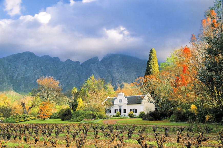 With a cloudy sky and rocky mountains as a backdrop, a beautiful white Cape Dutch building sits amongst trees with autumnal colours; in the foreground are rows of wine vines